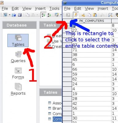 Screenshot1.jpg: This shows the selection of the data in the database table.